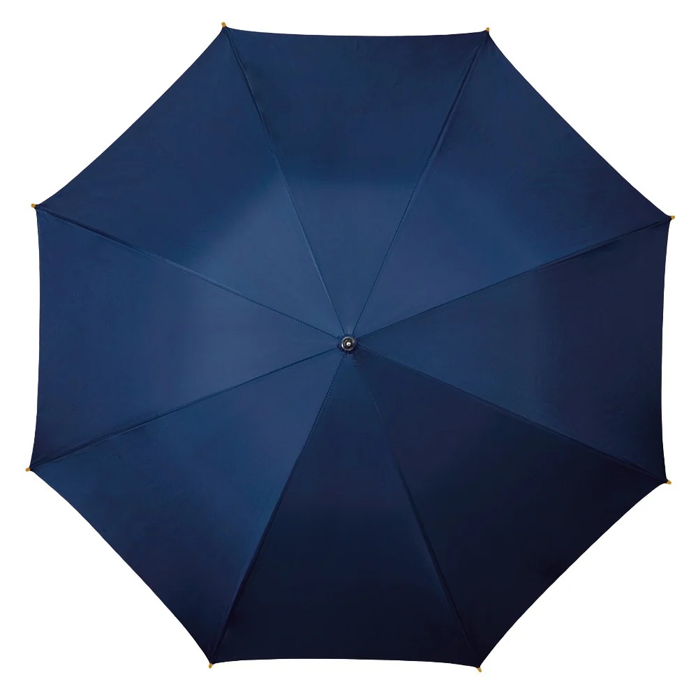 晴雨廣告?zhèn)?>
							<h3>晴雨廣告?zhèn)?/h3>
						</a> </div>
										<div   id=